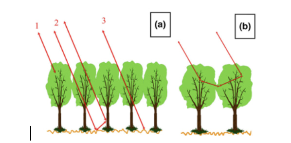 Simplified SAR signal scattering mechanisms in vegetation (a) 1, canopy-only direct scattering; 